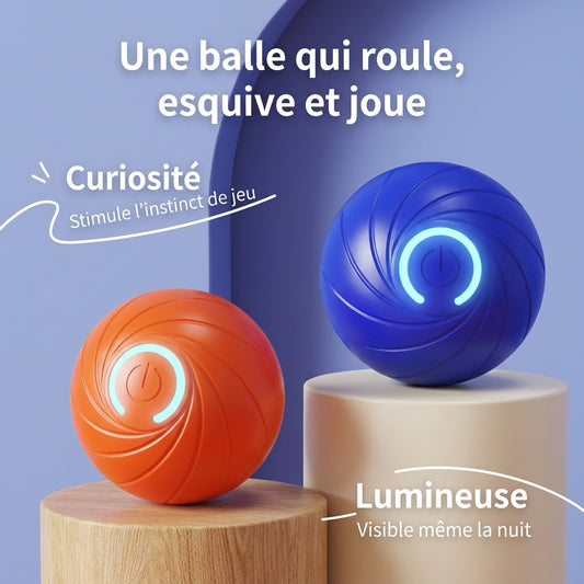 Balle Roulante Lumineuse Interactive pour Chat & Petit Chien